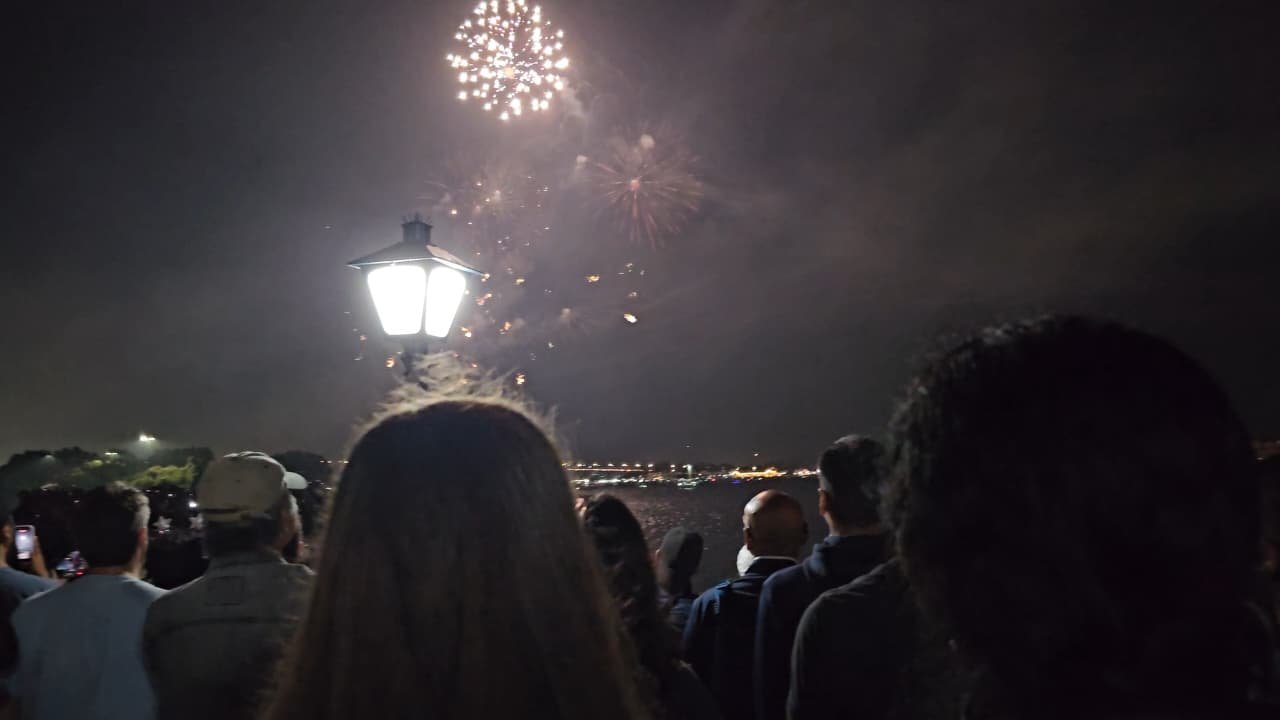 Edith and Anna in the foreground of a crowd watching fireworks burst over San Diego Bay beside a glowing lamppost.