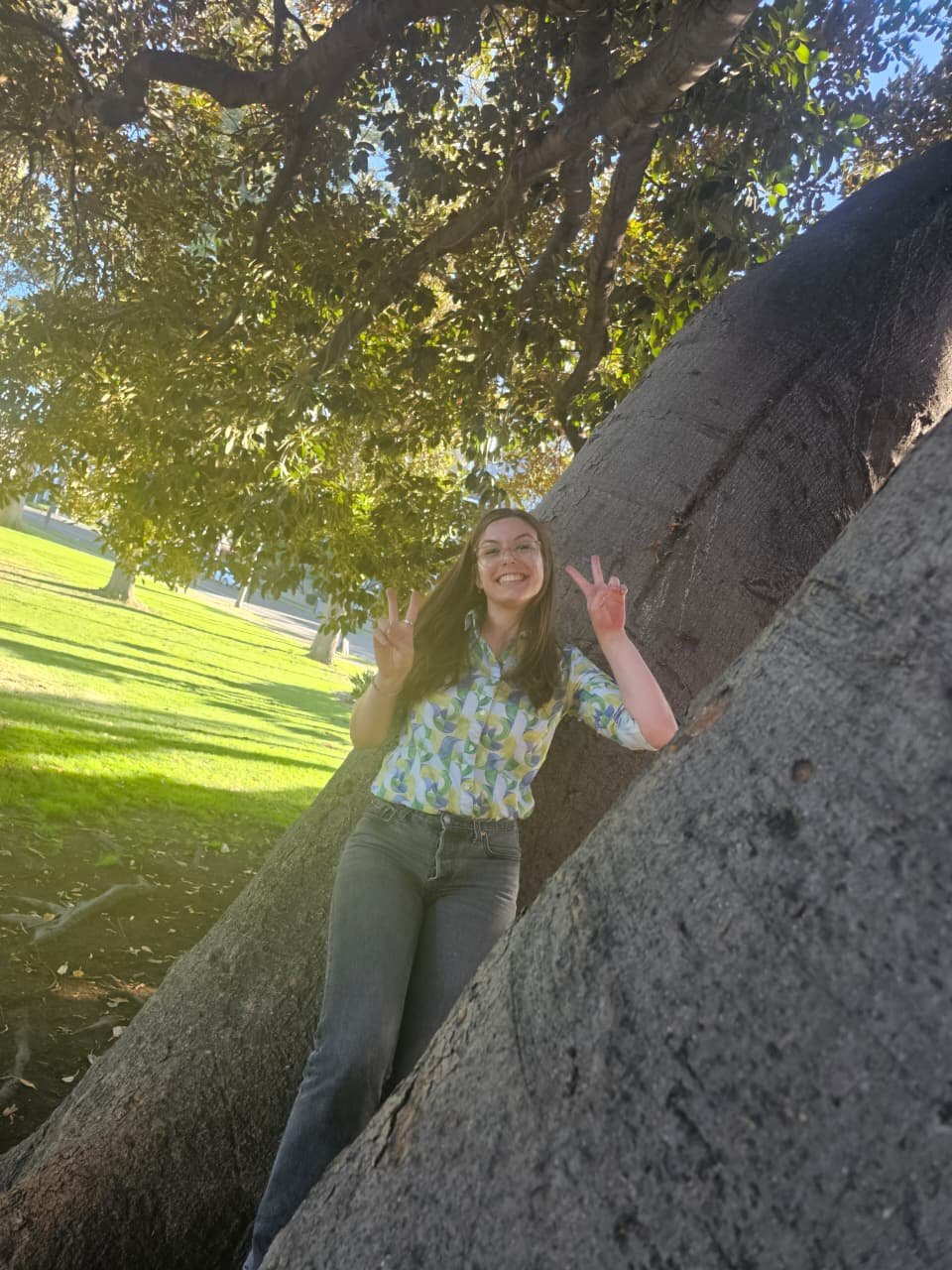 Anna standing in the crook of the huge fig tree's trunk, throwing peace signs.