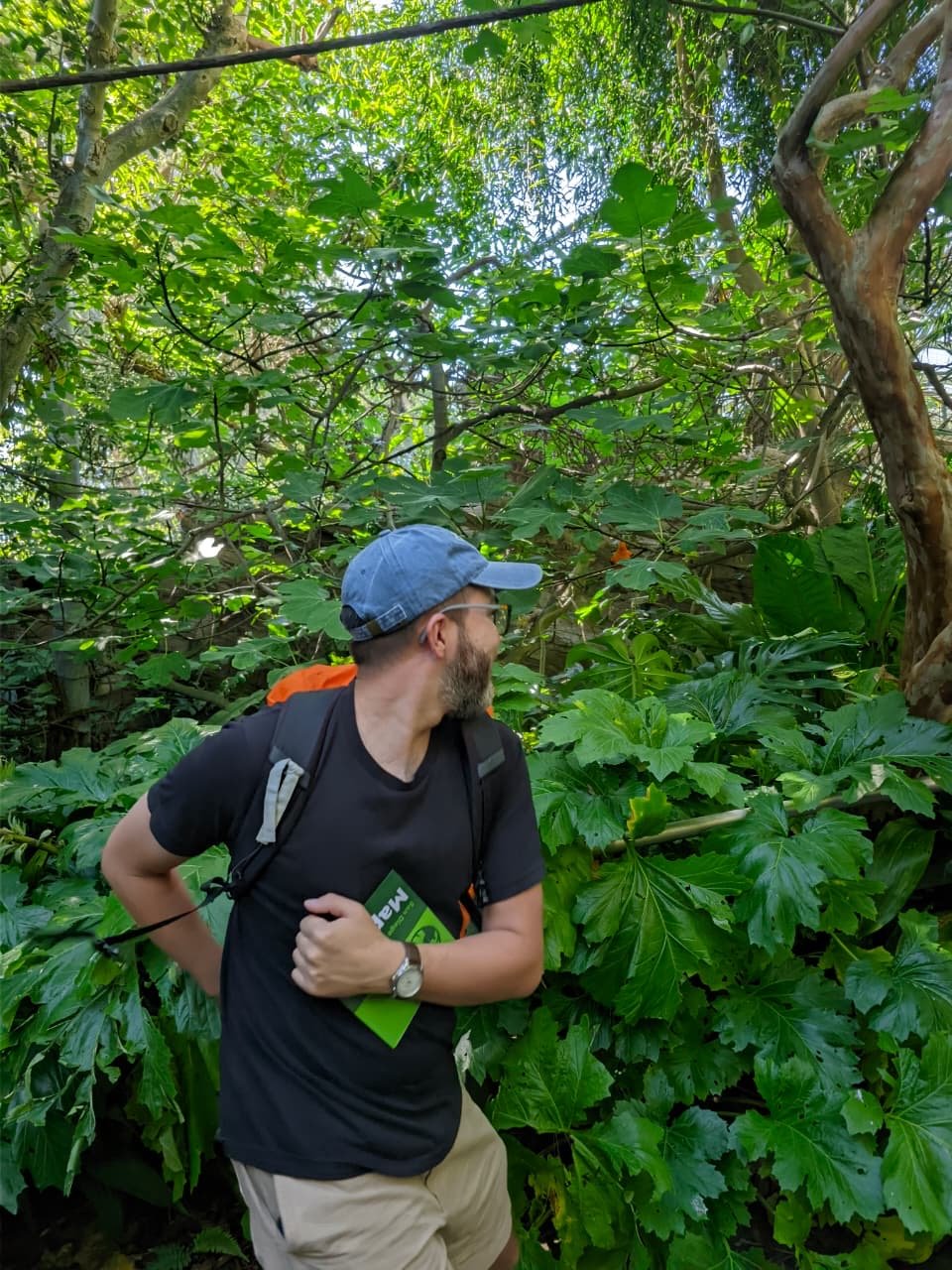 A friend with an orange backpack standing among lush green zoo foliage.