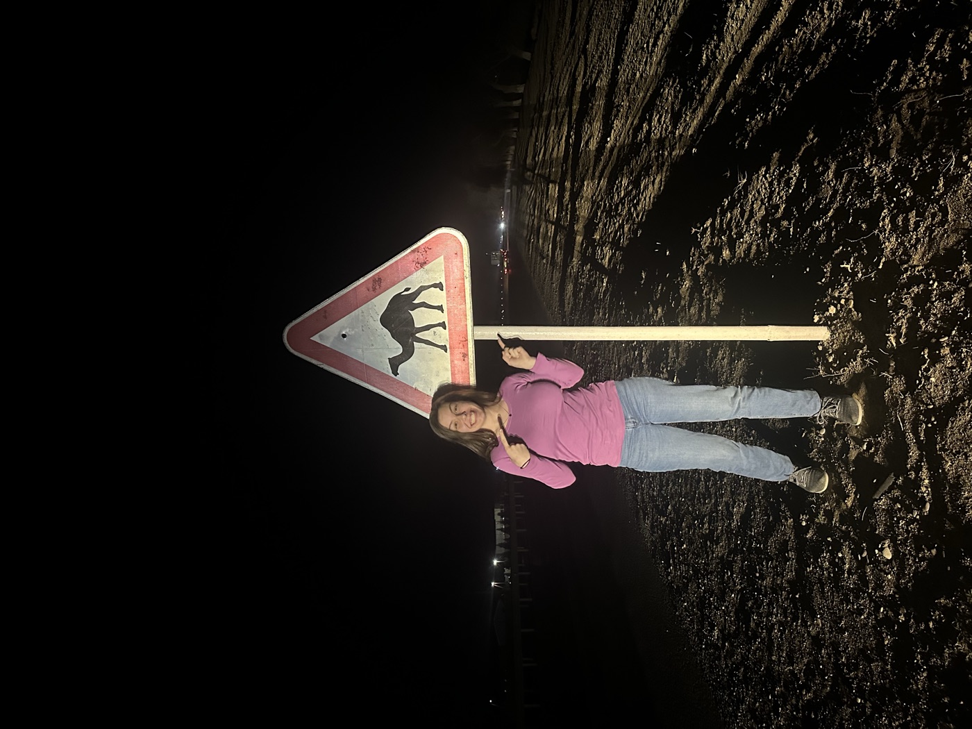 Anna at night pointing at a triangular 'Danger: Camel' warning sign.