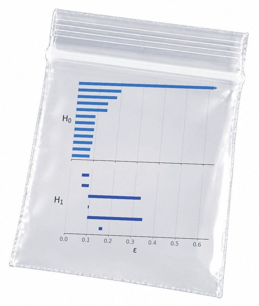 A tiny clear zip-top baggie with a persistence barcode inside: one long H0 bar with an arrow, a stack of short ones, and two long H1 bars among a few short ones.