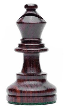Chess bishop — fou in French.