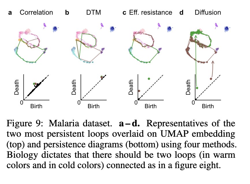 Figure 9 of the Damrich et al. paper. Four columns labelled Correlation, DTM, Effective resistance and Diffusion. Each shows the two most persistent loops drawn over a UMAP embedding of the malaria dataset, with a persistence diagram beneath. In the first two columns the loops sit on the diagonal; in the last two they lift well above it.