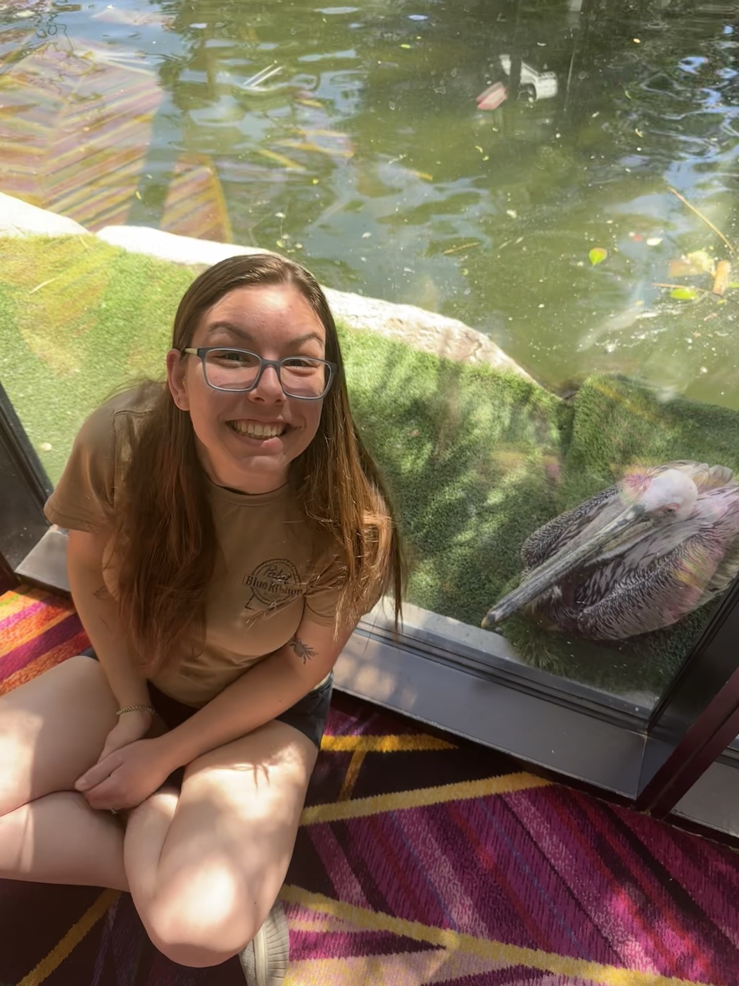 Anna sitting beside a glass enclosure with a pelican resting against it.
