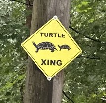 A yellow diamond Turtle Xing sign on a pole among leaves.