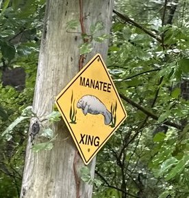 A yellow diamond Manatee Xing sign on a tree trunk, deep in New England woods.