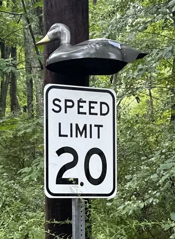 A wooden duck decoy perched on top of a Speed Limit 20 sign.