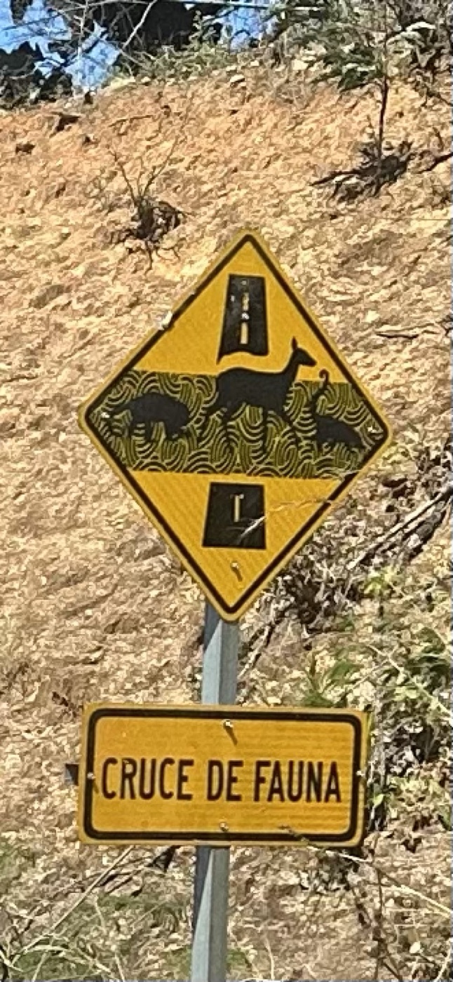 A yellow diamond 'Cruce de Fauna' wildlife crossing sign.