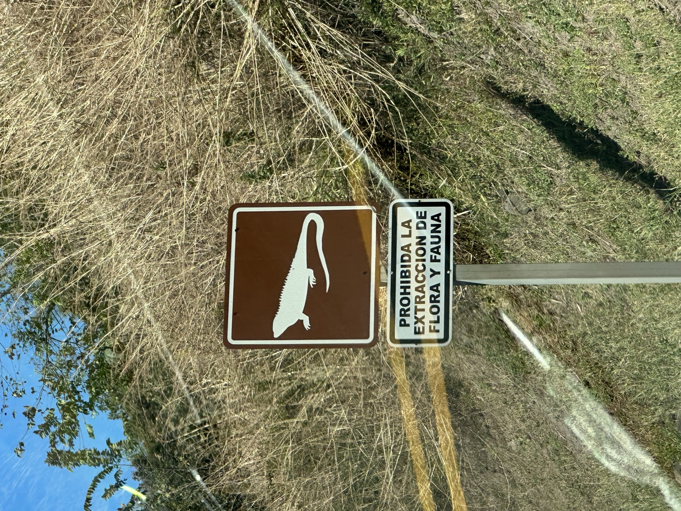 A brown sign with an iguana silhouette reading 'Prohibida la extracción de flora y fauna.'