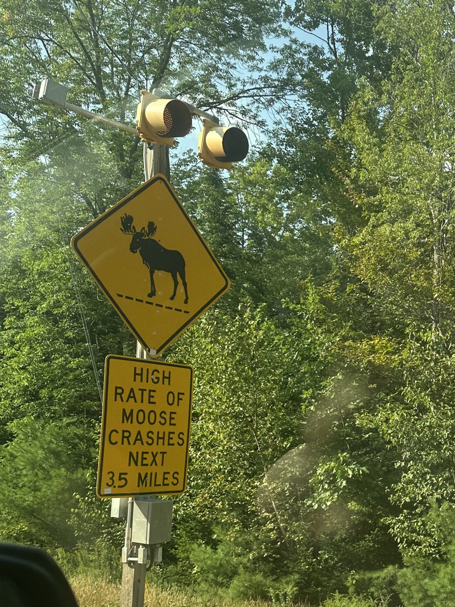 A moose crossing sign with a placard reading 'High rate of moose crashes next 3.5 miles.'
